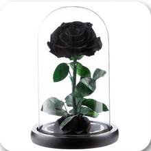 Load image into Gallery viewer, Little Prince — Eternal Flower Glass Dome