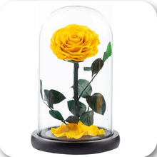 Load image into Gallery viewer, Little Prince — Eternal Flower Glass Dome