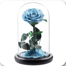 Load image into Gallery viewer, Little Prince — Eternal Flower Glass Dome