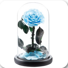 Load image into Gallery viewer, Little Prince — Eternal Flower Glass Dome
