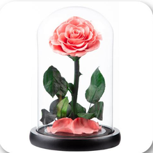 Load image into Gallery viewer, Little Prince — Eternal Flower Glass Dome
