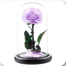 Load image into Gallery viewer, Little Prince — Eternal Flower Glass Dome
