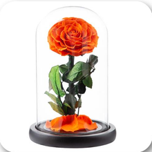 Load image into Gallery viewer, Little Prince — Eternal Flower Glass Dome
