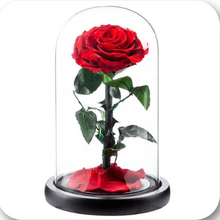 Load image into Gallery viewer, Little Prince — Eternal Flower Glass Dome
