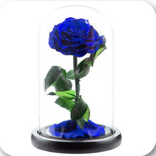 Load image into Gallery viewer, Little Prince — Eternal Flower Glass Dome
