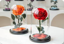 Load image into Gallery viewer, Little Prince — Eternal Flower Glass Dome
